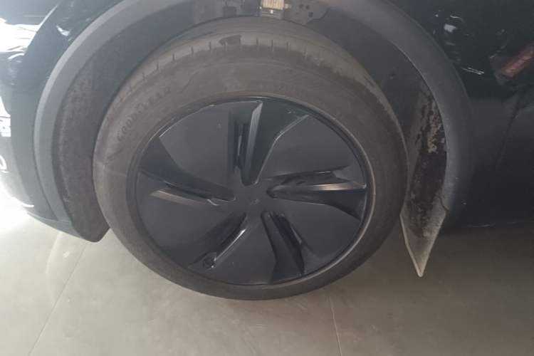 Used Tesla Model Y 2025 Rear-Wheel-Drive Version Exterior 4