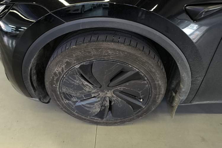 Used Tesla Model Y 2025 Updated Version Long-Range All-Wheel Drive Exterior 4