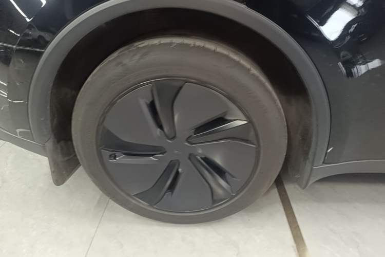 Used Tesla Model Y 2025 Rear-Wheel-Drive Version Exterior 5