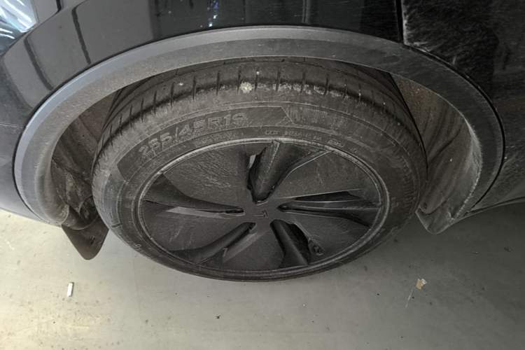 Used Tesla Model Y 2025 Updated Version Long-Range All-Wheel Drive Exterior 5