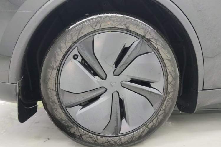 Used Tesla Model Y 2025 Rear-Wheel-Drive Version Exterior 5
