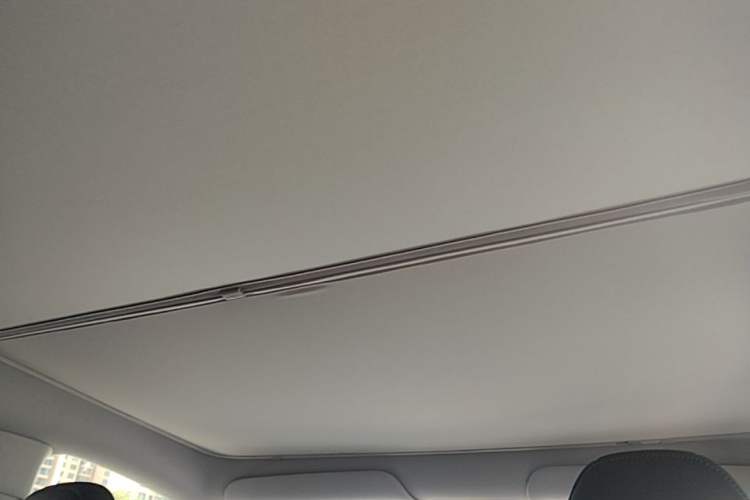 Used Tesla Model Y 2025 Rear-Wheel-Drive Version Headliner
