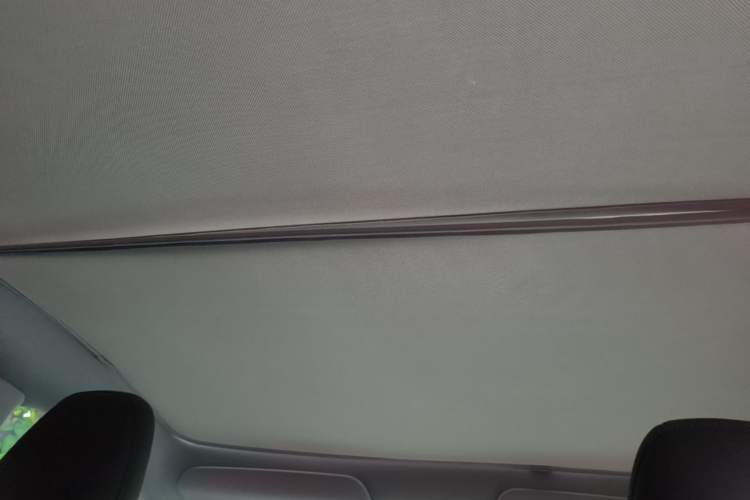 Used Tesla Model Y 2025 Long-Range All-Wheel-Drive Version Headliner