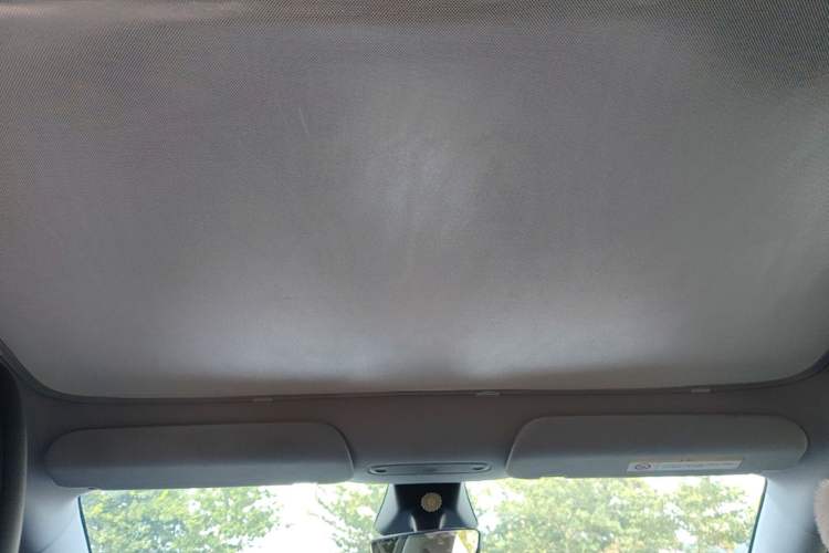 Used Tesla Model Y 2025 Long-Range All-Wheel Drive First Edition Headliner