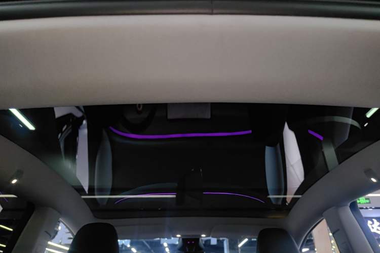 Used Tesla Model Y 2025 Long-Range All-Wheel-Drive Version Headliner