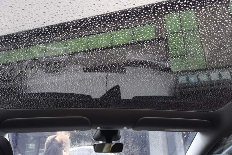 Used Tesla Model Y 2025 Long-Range All-Wheel-Drive Version Headliner