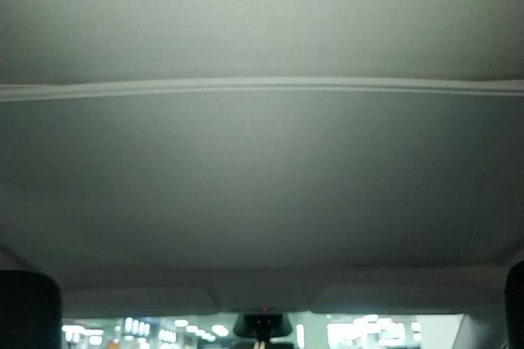 Used Tesla Model Y 2025 Rear-Wheel-Drive Version Headliner