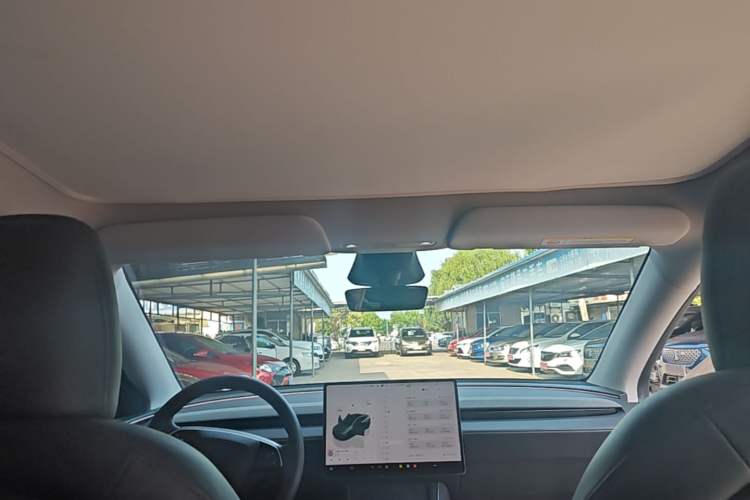 Used Tesla Model Y 2025 Rear-Wheel-Drive Version Headliner