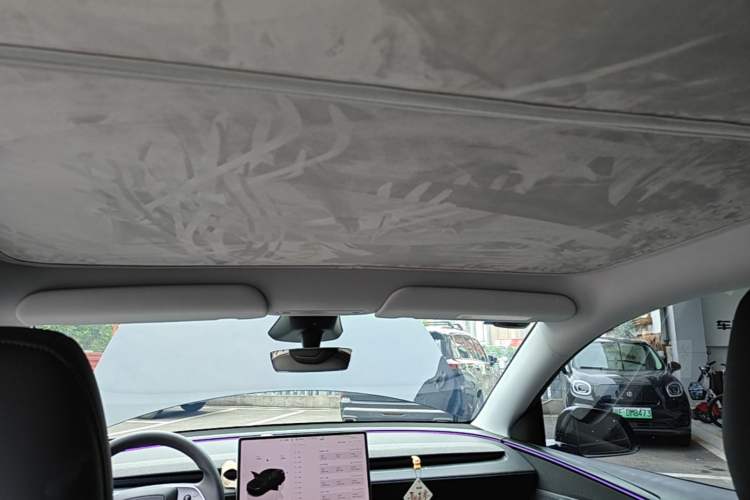 Used Tesla Model Y 2025 Rear-Wheel Drive First Edition Headliner
