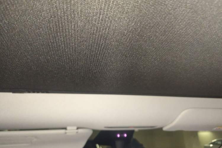 Used Tesla Model Y 2025 Long-Range All-Wheel-Drive Version Headliner