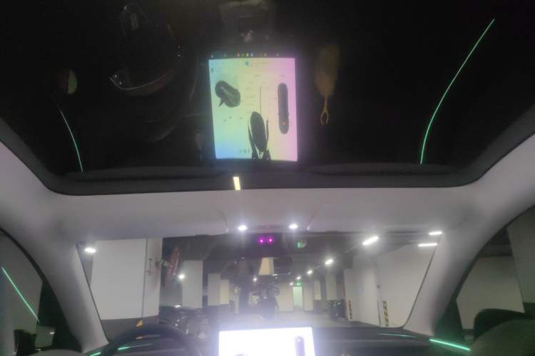 Used Tesla Model Y 2025 Long-Range All-Wheel Drive First Edition Headliner