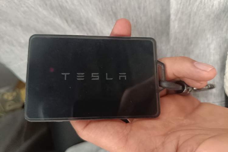 Used Tesla Model Y 2025 Updated Version Long-Range All-Wheel Drive Interior 1