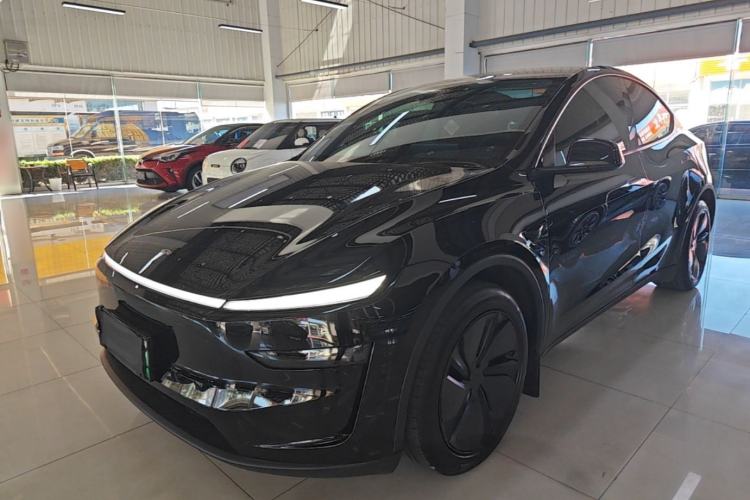 Tesla Model Y 2025 Rear-Wheel-Drive Version