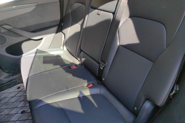Used Tesla Model Y 2025 Long-Range All-Wheel Drive First Edition Left Rear Seat