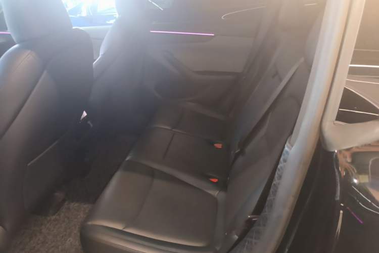 Used Tesla Model Y 2025 Rear-Wheel-Drive Version Left Rear Seat
