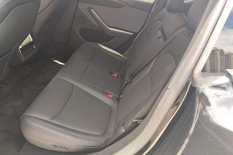 Used Tesla Model Y 2025 Rear-Wheel-Drive Version Left Rear Seat