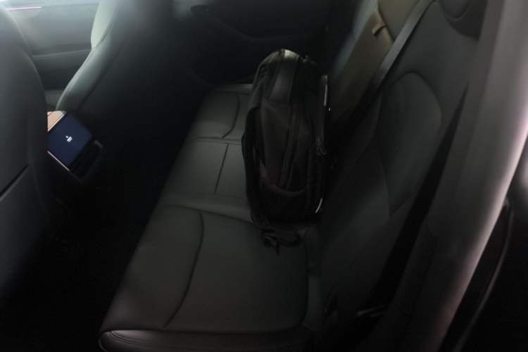 Used Tesla Model Y 2025 Long-Range All-Wheel-Drive Version Left Rear Seat