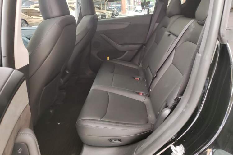 Used Tesla Model Y 2025 Updated Version Long-Range All-Wheel Drive Left Rear Seat