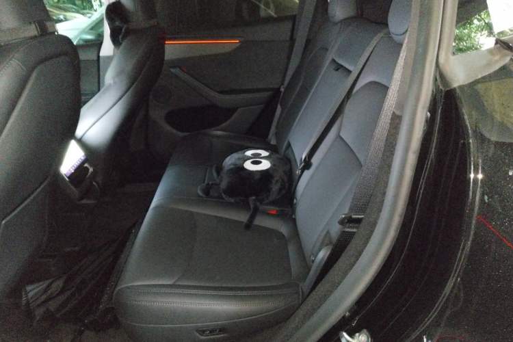 Used Tesla Model Y 2025 Updated Version Long-Range All-Wheel Drive Left Rear Seat