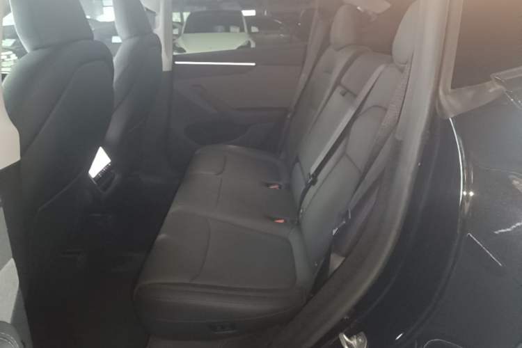 Used Tesla Model Y 2025 Rear-Wheel-Drive Version Left Rear Seat