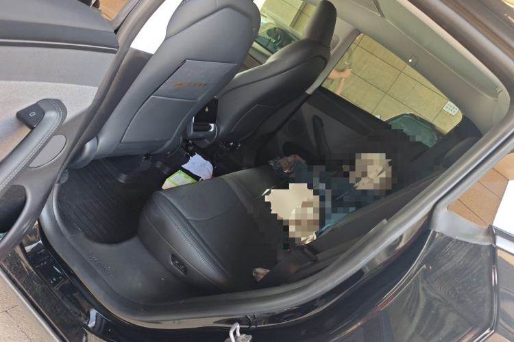 Used Tesla Model Y 2025 Rear-Wheel-Drive Version Left Rear Seat