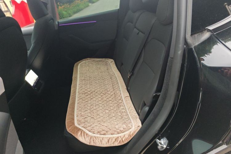 Used Tesla Model Y 2025 Rear-Wheel-Drive Version Left Rear Seat