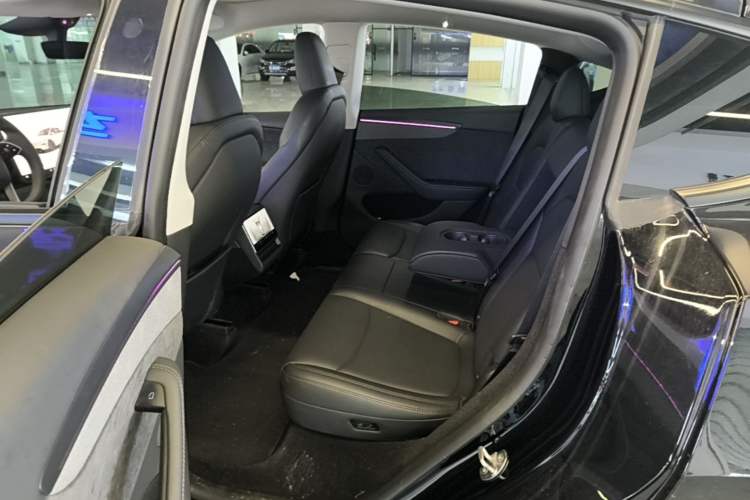 Used Tesla Model Y 2025 Updated Version Long-Range All-Wheel Drive Left Rear Seat