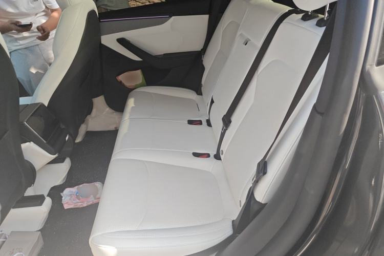 Used Tesla Model Y 2025 Rear-Wheel Drive First Edition Left Rear Seat
