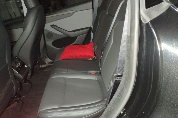 Used Tesla Model Y 2025 Rear-Wheel-Drive Version Left Rear Seat