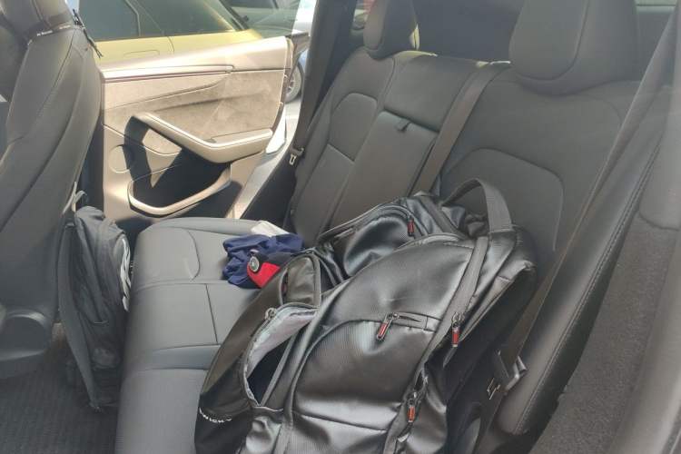 Used Tesla Model Y 2025 Long-Range All-Wheel Drive First Edition Left Rear Seat