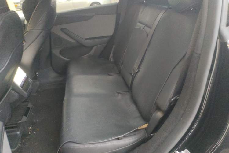 Used Tesla Model Y 2025 Rear-Wheel-Drive Version Left Rear Seat