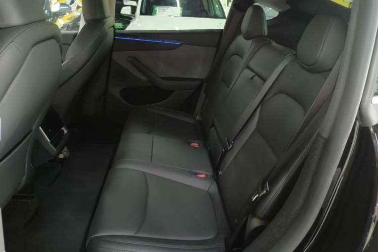 Used Tesla Model Y 2025 Rear-Wheel-Drive Version Left Rear Seat