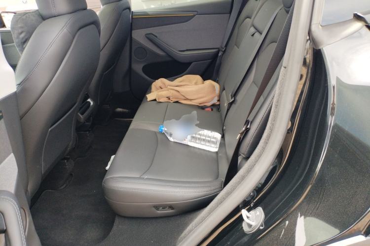 Used Tesla Model Y 2025 Rear-Wheel-Drive Version Left Rear Seat