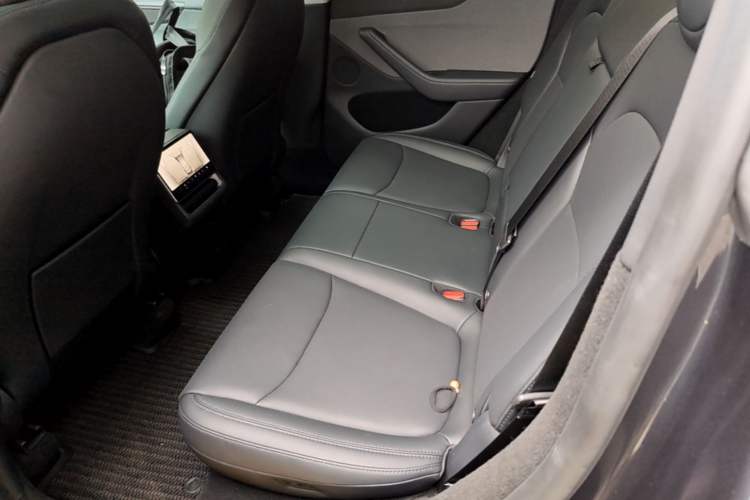 Used Tesla Model Y 2025 Rear-Wheel Drive First Edition Left Rear Seat