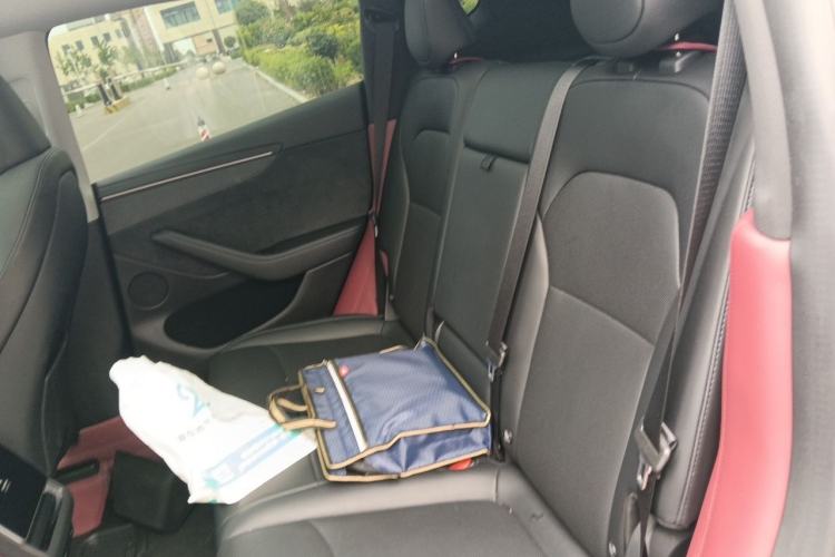 Used Tesla Model Y 2025 Long-Range All-Wheel Drive First Edition Left Rear Seat
