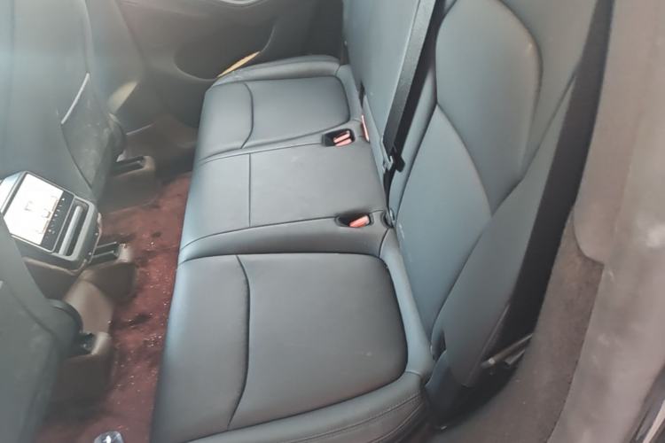 Used Tesla Model Y 2025 Rear-Wheel-Drive Version Left Rear Seat
