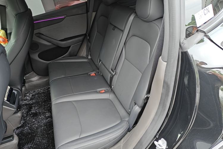 Used Tesla Model Y 2025 Rear-Wheel Drive First Edition Left Rear Seat