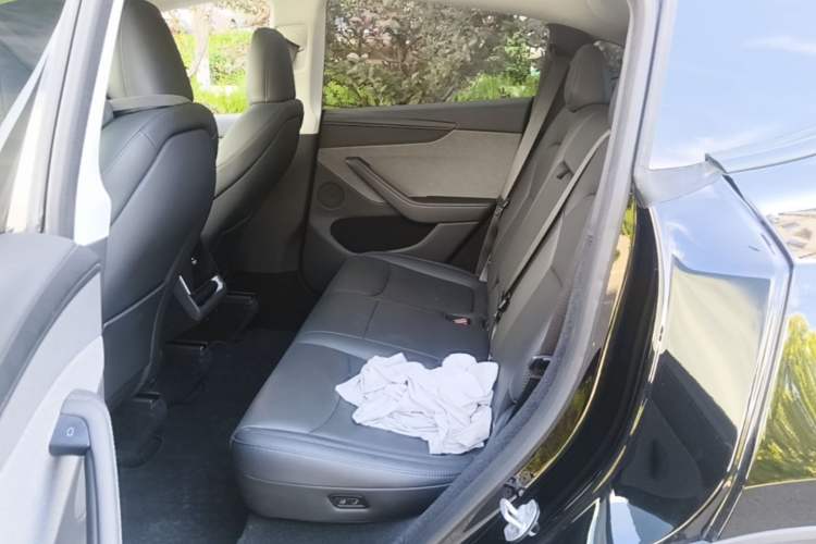 Used Tesla Model Y 2025 Rear-Wheel-Drive Version Left Rear Seat