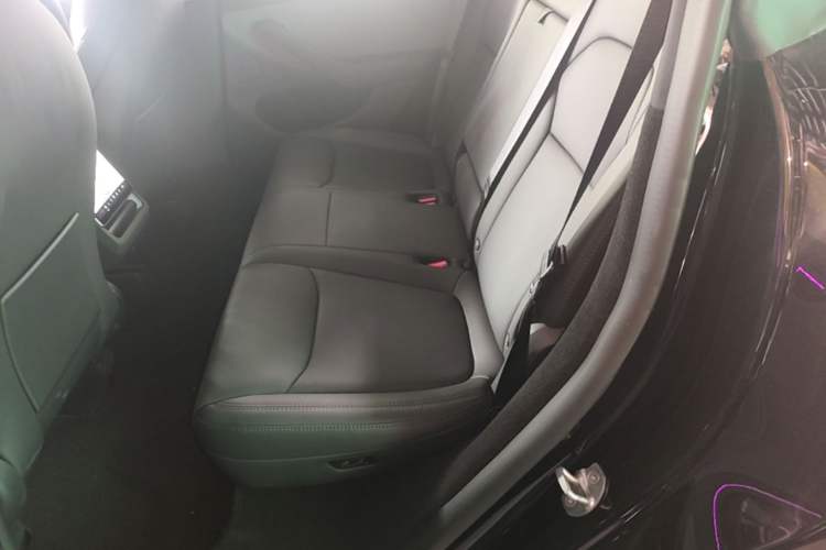 Used Tesla Model Y 2025 Rear-Wheel-Drive Version Left Rear Seat