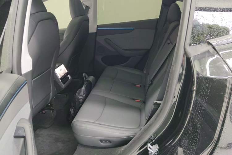 Used Tesla Model Y 2025 Rear-Wheel-Drive Version Left Rear Seat
