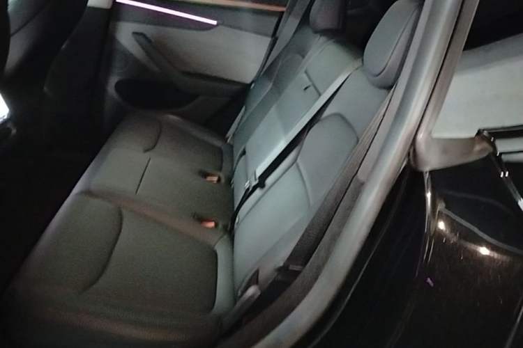 Used Tesla Model Y 2025 Rear-Wheel-Drive Version Left Rear Seat