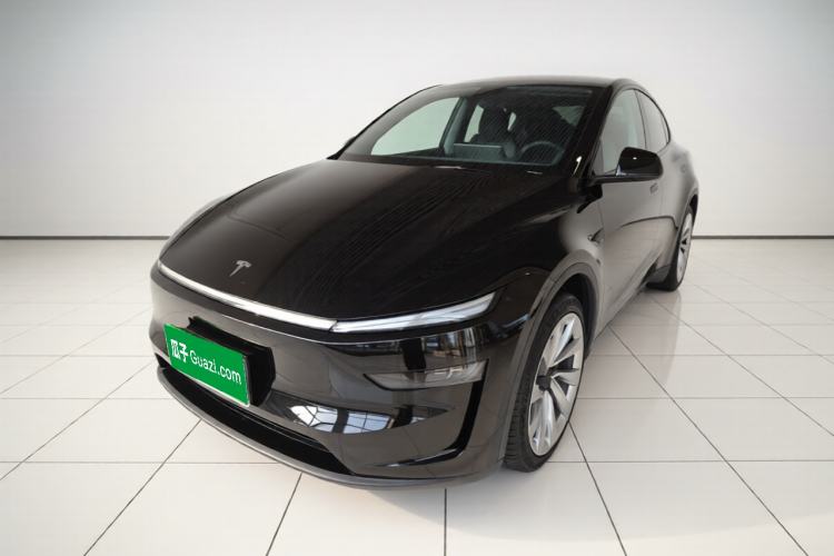 Tesla Model Y 2025 Long-Range All-Wheel-Drive Version