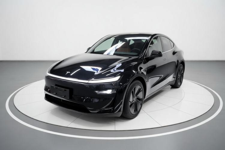 Tesla Model Y 2025 Rear-Wheel-Drive Version