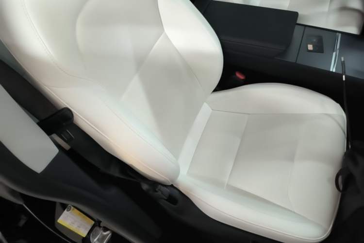 Used Tesla Model Y 2025 Updated Version Long-Range All-Wheel Drive Right Front Seat