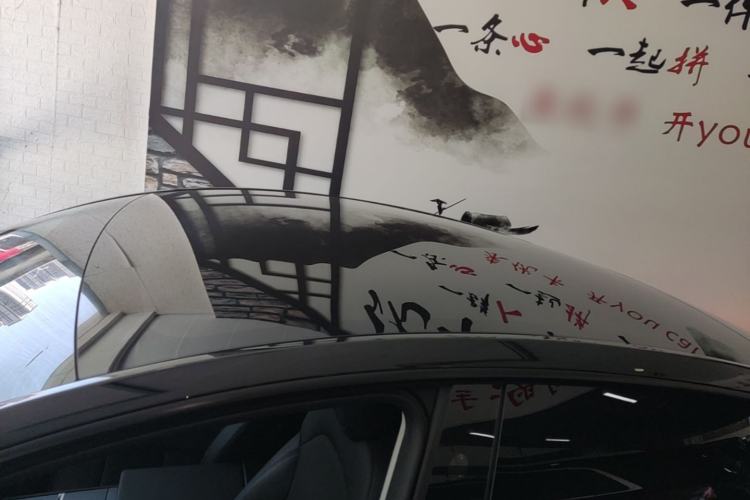 Used Tesla Model Y 2025 Rear-Wheel-Drive Version Roof