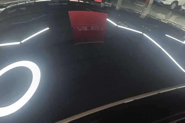Used Tesla Model Y 2025 Rear-Wheel-Drive Version Roof
