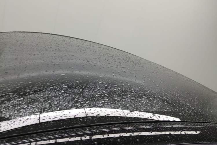 Used Tesla Model Y 2025 Rear-Wheel-Drive Version Roof