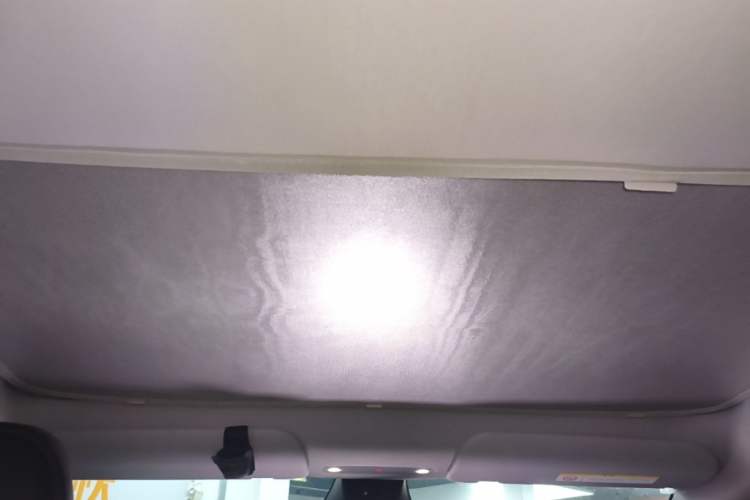 Used Tesla Model Y 2025 Rear-Wheel-Drive Version Headliner