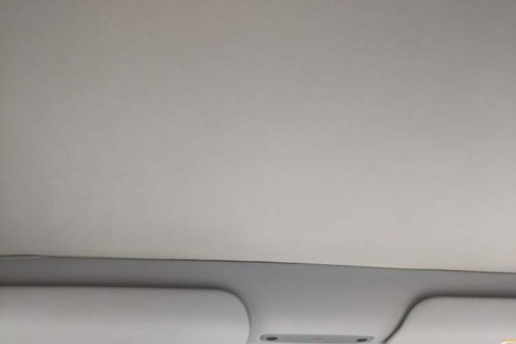 Used Tesla Model Y 2025 Rear-Wheel-Drive Version Headliner