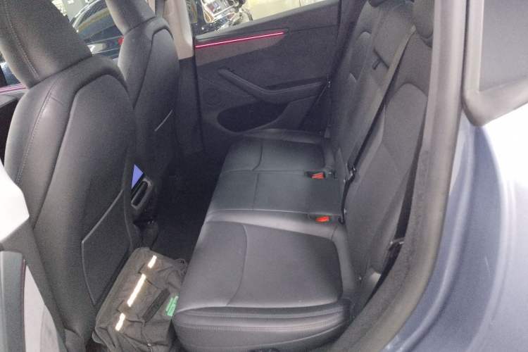 Used Tesla Model Y 2025 Long-Range All-Wheel-Drive Version Left Rear Seat